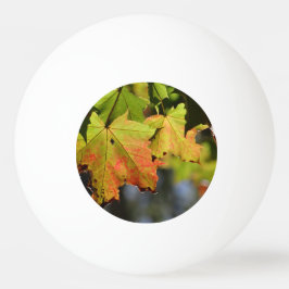 カラフル紅葉 卓球ボール