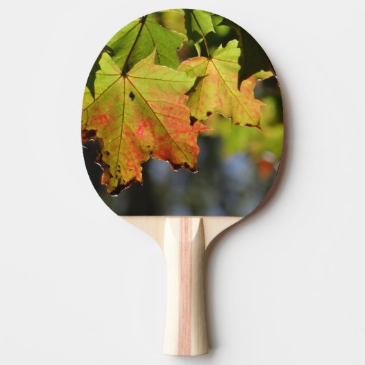カラフル紅葉 卓球ラケット (正面)