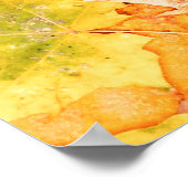 カラフル紅葉。木の落ちた葉の模様。 ポスター (角)