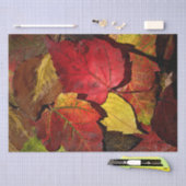 カラフル紅葉 薄葉紙 (クラフト)