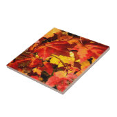 カラフル紅葉、金ゴールド赤オレンジ色のカエデの葉 タイル (側面)