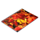 カラフル紅葉、金ゴールド赤オレンジ色のカエデの葉 ノートブック (左側)