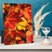 カラフル紅葉、金ゴールド赤オレンジ色のカエデの葉 フォトプラーク (側面)