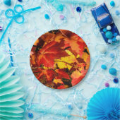 カラフル紅葉、金ゴールド赤オレンジ色のカエデの葉 ペーパープレート (パーティー)
