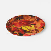 カラフル紅葉、金ゴールド赤オレンジ色のカエデの葉 ペーパープレート (アングル)