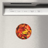 カラフル紅葉、金ゴールド赤オレンジ色のカエデの葉 マグネット (インサイチュ (食洗機))