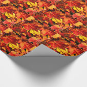 カラフル紅葉、金ゴールド赤オレンジ色のカエデの葉 ラッピングペーパー (角)
