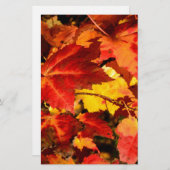 カラフル紅葉、金ゴールド赤オレンジ色のカエデの葉 便箋 (正面/裏面)