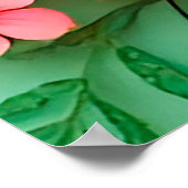 カラフル紙の花 ポスター (角)