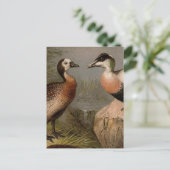 カラフル絵画ヴィンテージ ポストカード (スタンド正面)