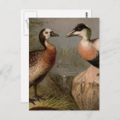 カラフル絵画ヴィンテージ ポストカード (正面/裏面)