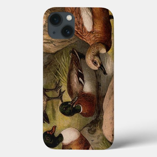 カラフル絵画ヴィンテージ Case-Mate iPhoneケース (裏面)