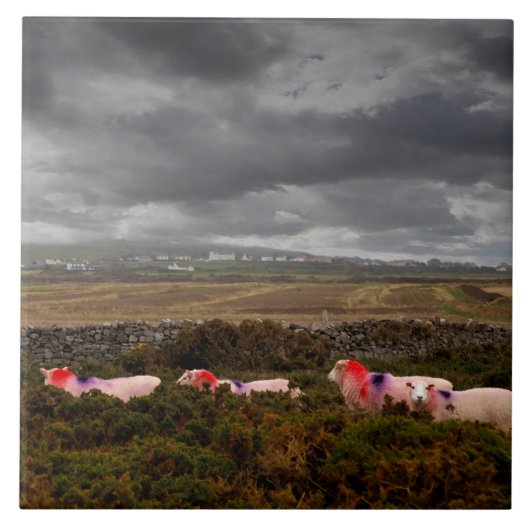 カラフル羊 タイル (正面)