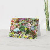 カラフル肉 カード (正面)