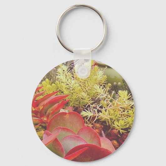 カラフル肉 キーホルダー (正面)