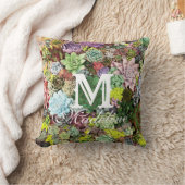 カラフル肉 クッション (ブランケット)