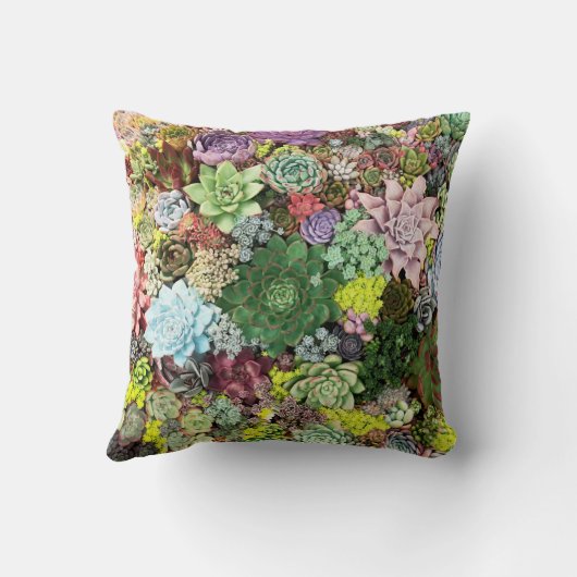 カラフル肉 クッション (裏面)