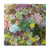 カラフル肉 タイル (正面)