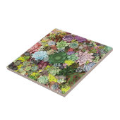 カラフル肉 タイル (側面)