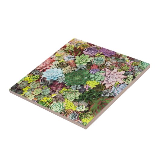 カラフル肉 タイル (側面)