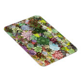 カラフル肉 マグネット (右側)