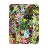 カラフル肉 マグネット (縦)