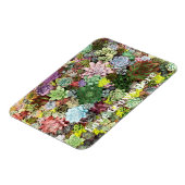 カラフル肉 マグネット (左側)