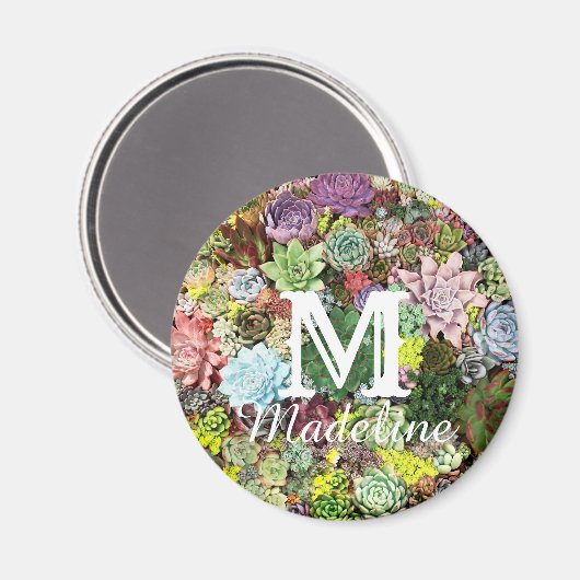 カラフル肉 マグネット (正面/裏面)