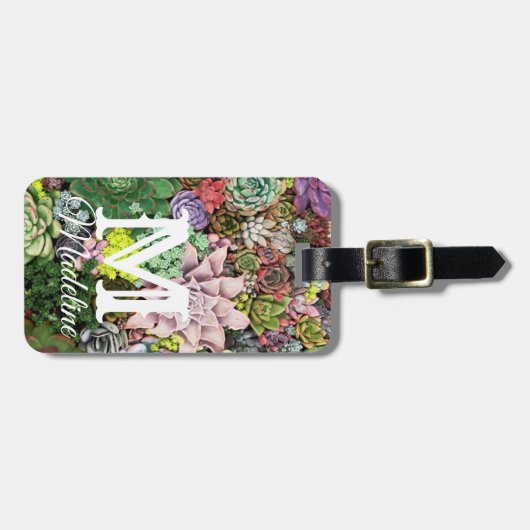 カラフル肉 ラゲッジタグ (正面横)