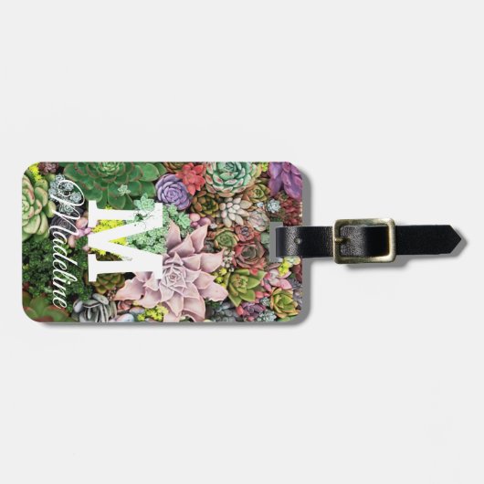 カラフル肉 ラゲッジタグ (正面横)