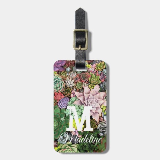 カラフル肉 ラゲッジタグ (正面縦)