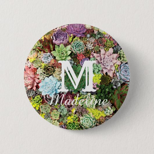 カラフル肉 缶バッジ (正面)