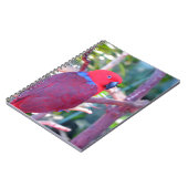 カラフル腐 ノートブック (左側)