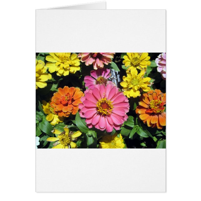 カラフル花 (正面)