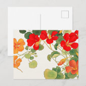 カラフル花 ポストカード (正面/裏面)