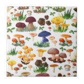 カラフル茸 タイル (正面)