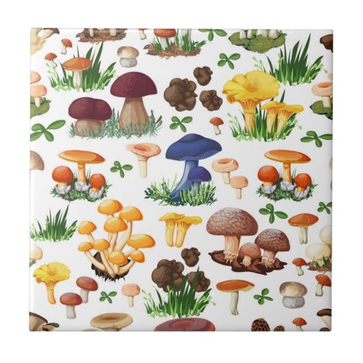 カラフル茸 タイル (正面)