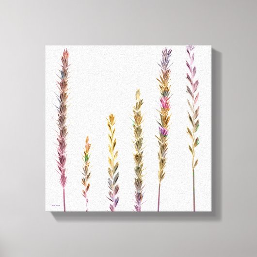 カラフル草 キャンバスプリント (正面)