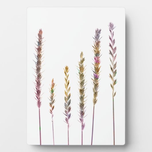 カラフル草 フォトプラーク (正面)