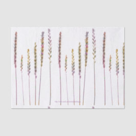 カラフル草 薄葉紙