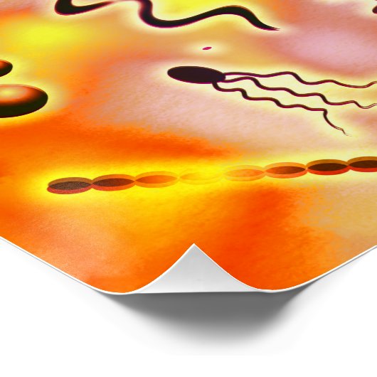 カラフル菌 ポスター (コーナー)