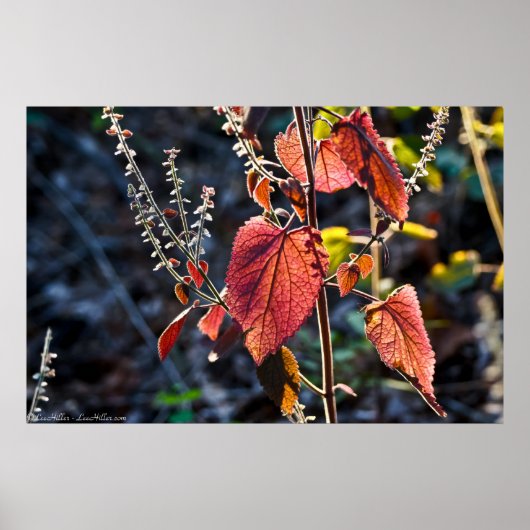 カラフル葉コースのデュスク ポスター (正面)