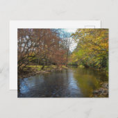 カラフル葉秋反射オン秋のストリーム ポストカード (正面/裏面)