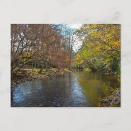 カラフル葉秋反射オン秋のストリーム ポストカード