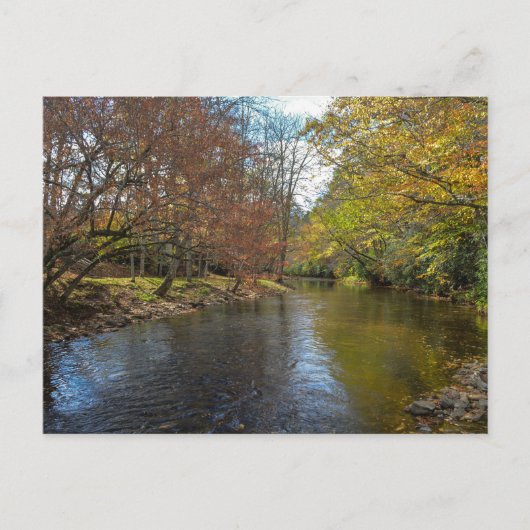 カラフル葉秋反射オン秋のストリーム ポストカード (正面)