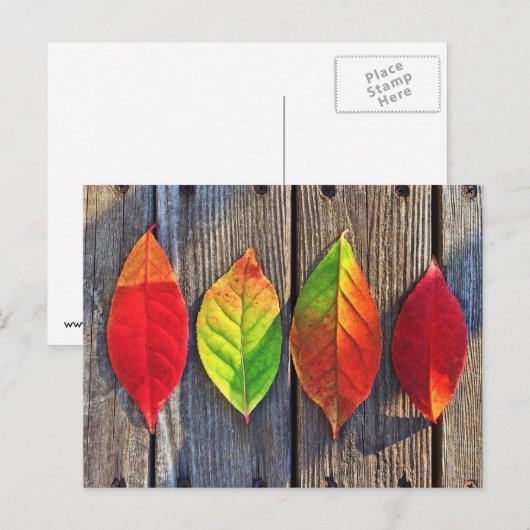 カラフル葉 ポストカード (正面/裏面)