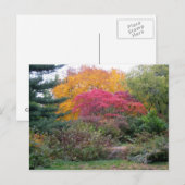 カラフル葉 ポストカード (正面/裏面)