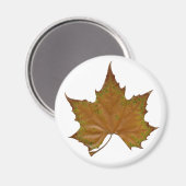 カラフル葉 マグネット (正面/裏面)