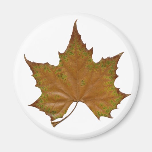 カラフル葉 マグネット (正面)