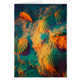 カラフル貝殻と砂のブナ